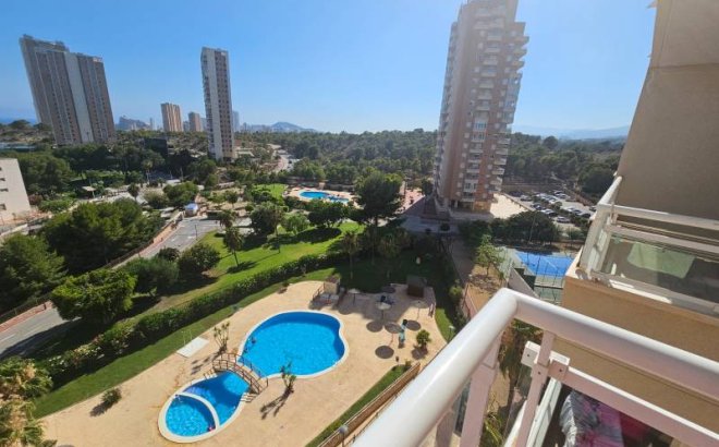 Apartment - Bestaande bouw - Benidorm - Benidorm