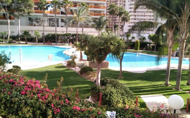 Apartment - Bestaande bouw - Benidorm - MM-94561