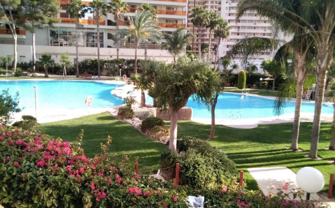 Apartment - Bestaande bouw - Benidorm - Rincón de Loix