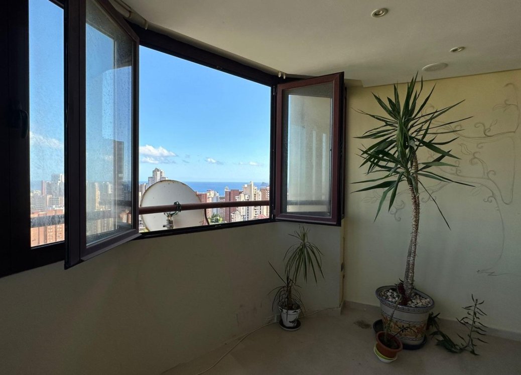 Bestaande bouw - Apartment - Benidorm - Juzgados