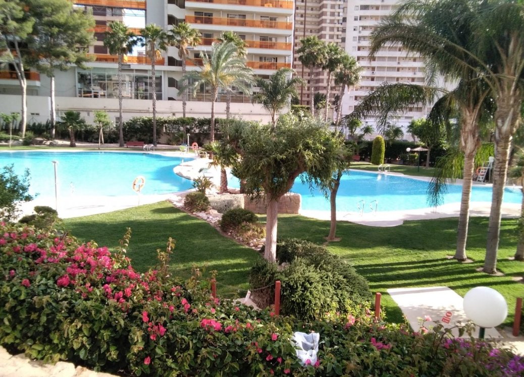 Bestaande bouw - Apartment - Benidorm - Rincón de Loix