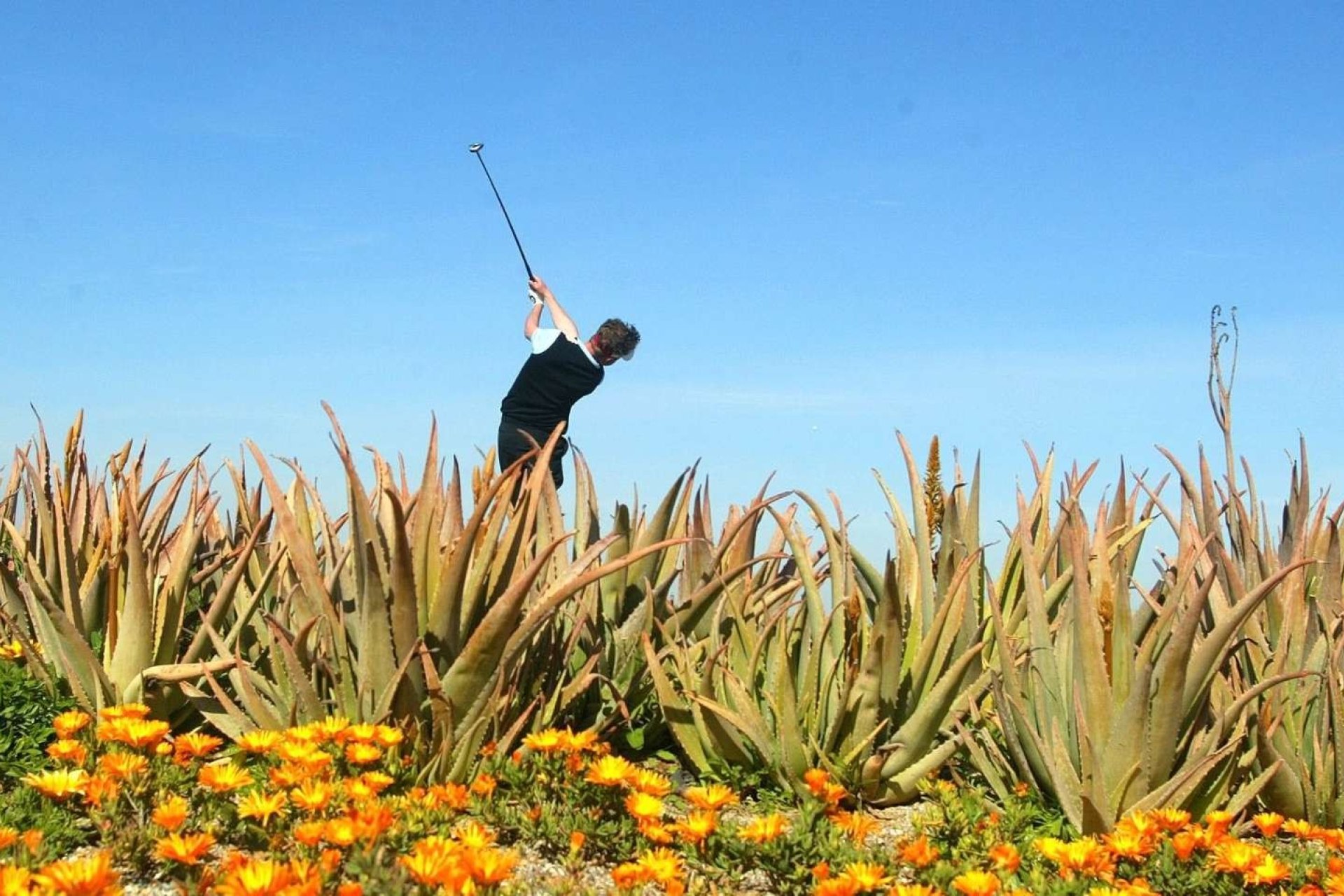 Bestaande bouw - Apartment - Cuevas del Almanzora - Villaricos