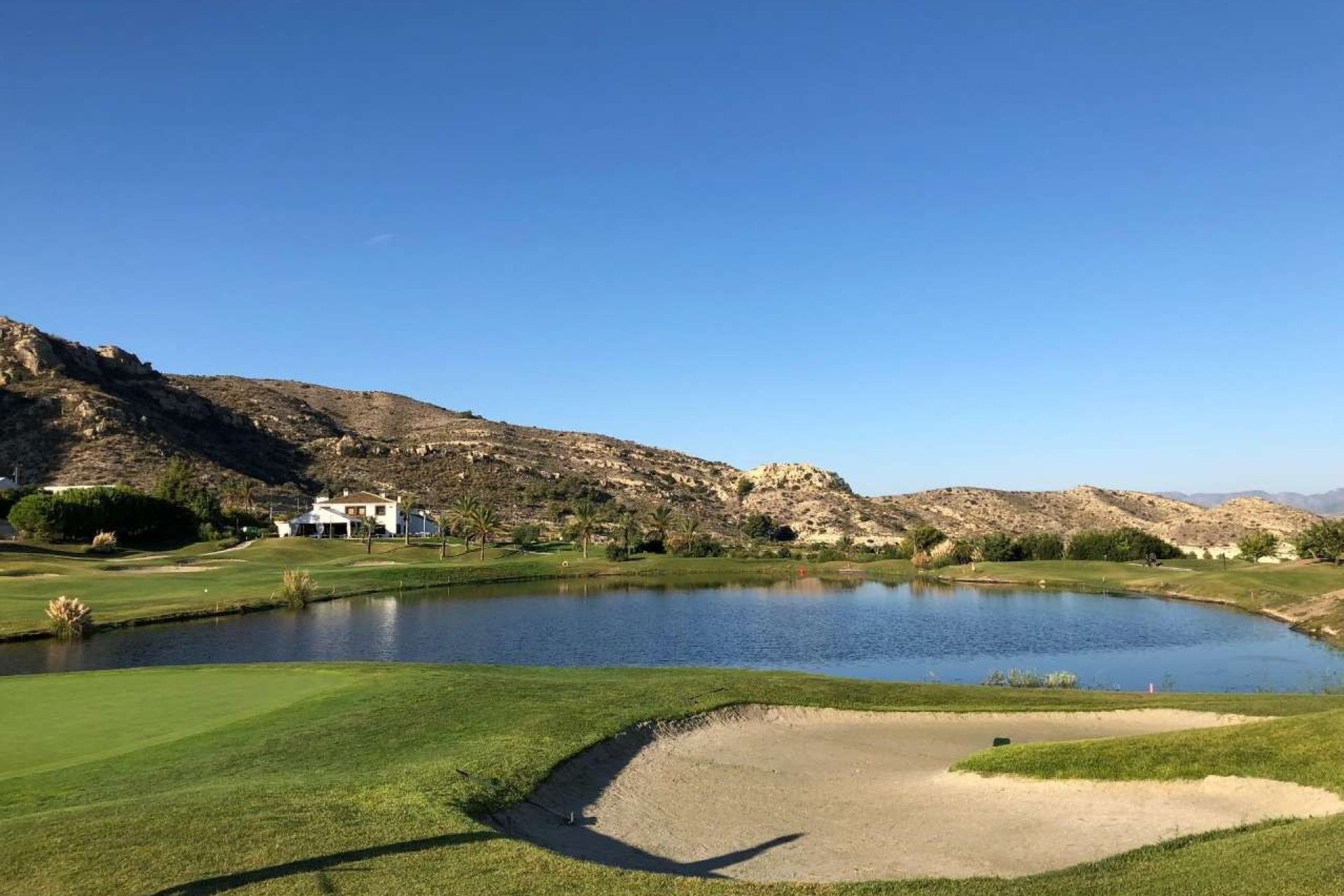 New Build - Apartment - Monforte del Cid - Font del Llop