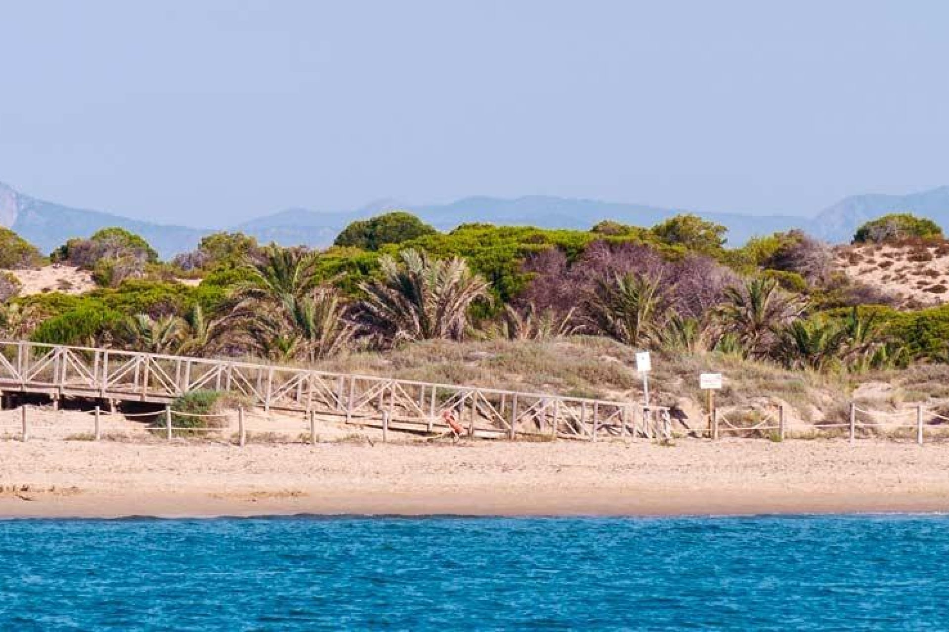 Nieuwbouw Woningen - Apartment - Guardamar del Segura - Pueblo