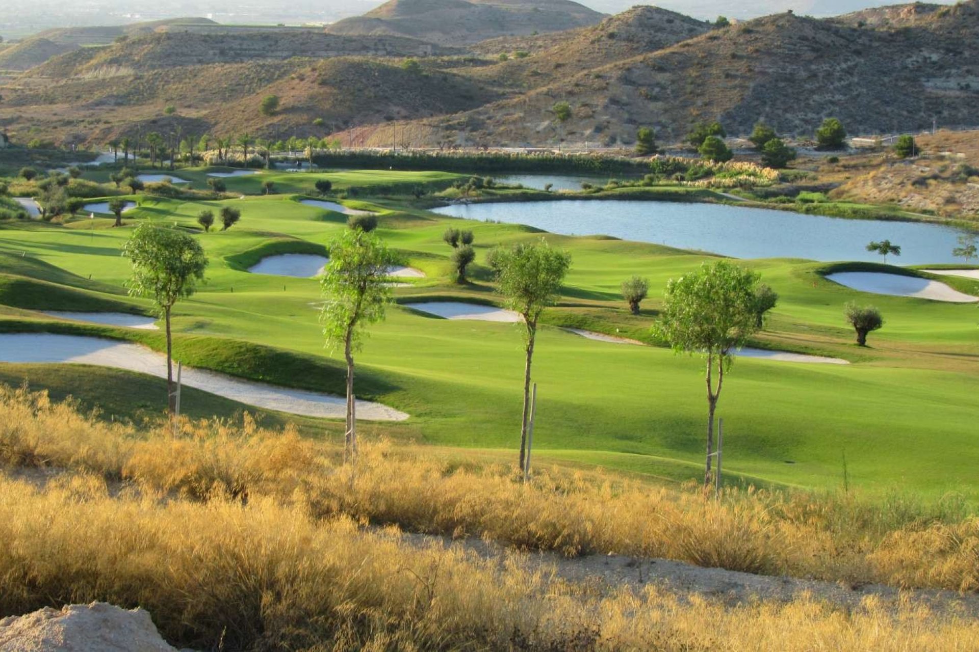 Nieuwbouw Woningen - Apartment - Monforte del Cid - Font del Llop