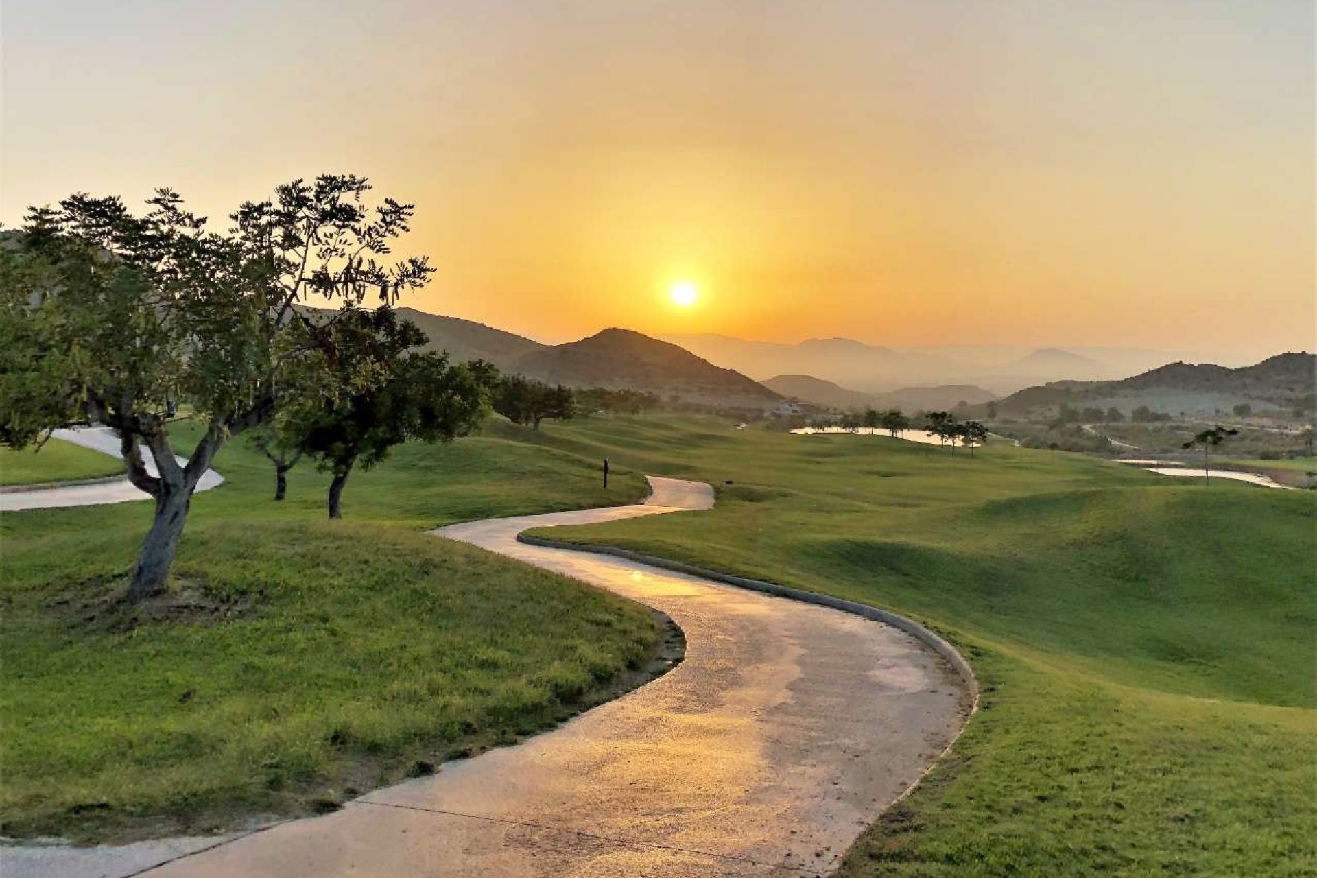 Nieuwbouw Woningen - Apartment - Monforte del Cid - Font del Llop