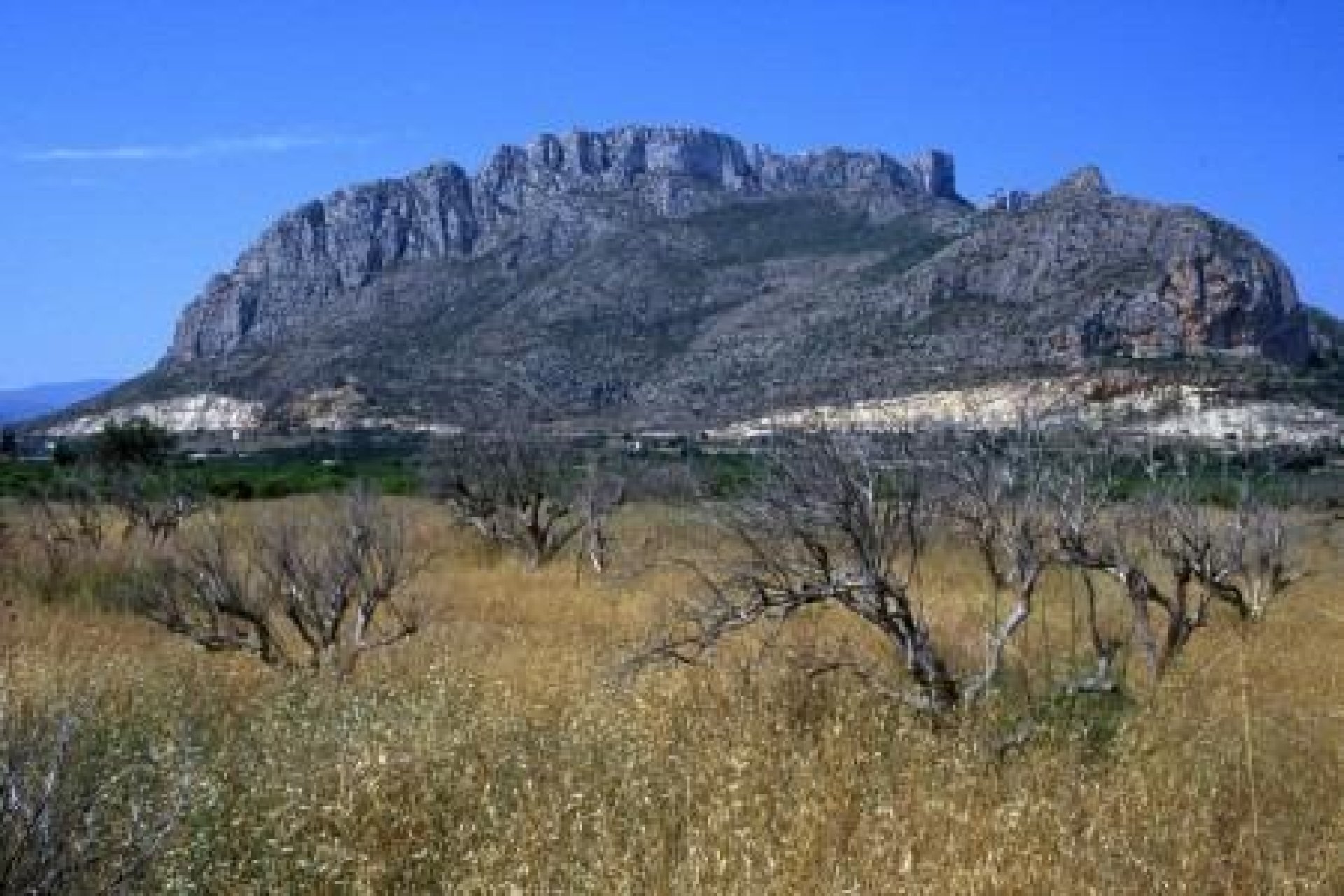 Obra nueva - Apartment - Denia - El Verger