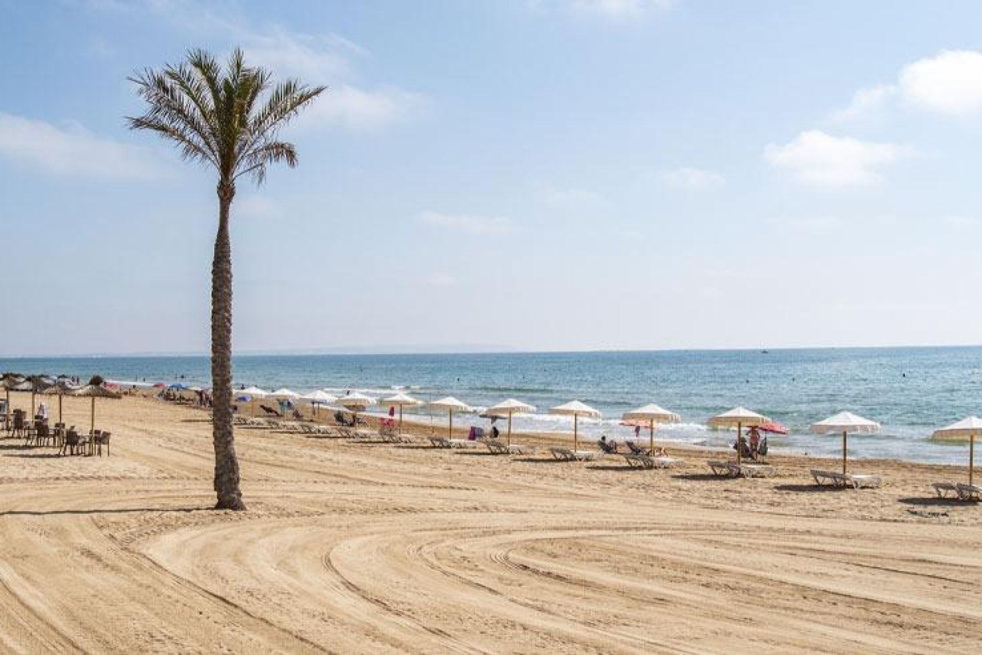 Obra nueva - Apartment - Guardamar del Segura - Pueblo