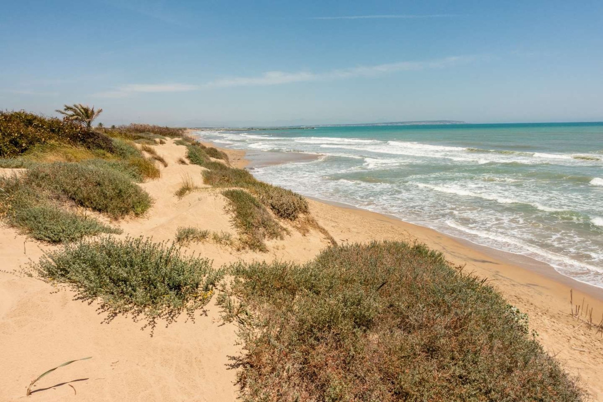 Obra nueva - Apartment - Guardamar del Segura