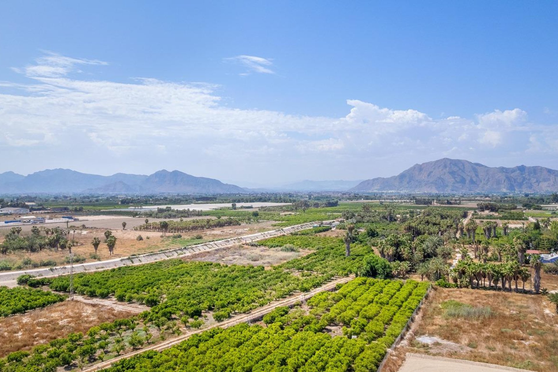 Obra nueva - Apartment - Jacarilla - pueblo