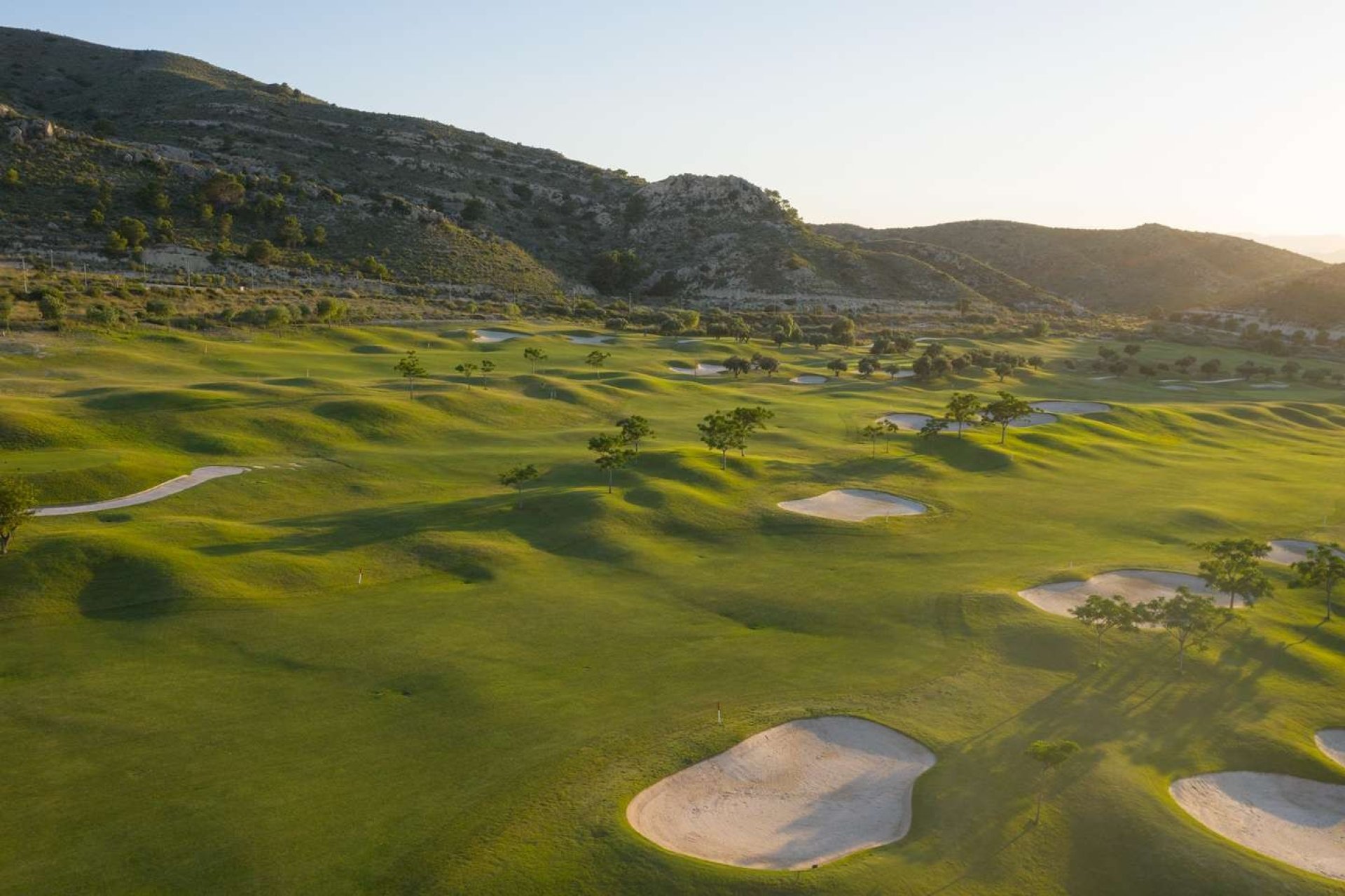 Obra nueva - Apartment - Monforte del Cid - Font del Llop