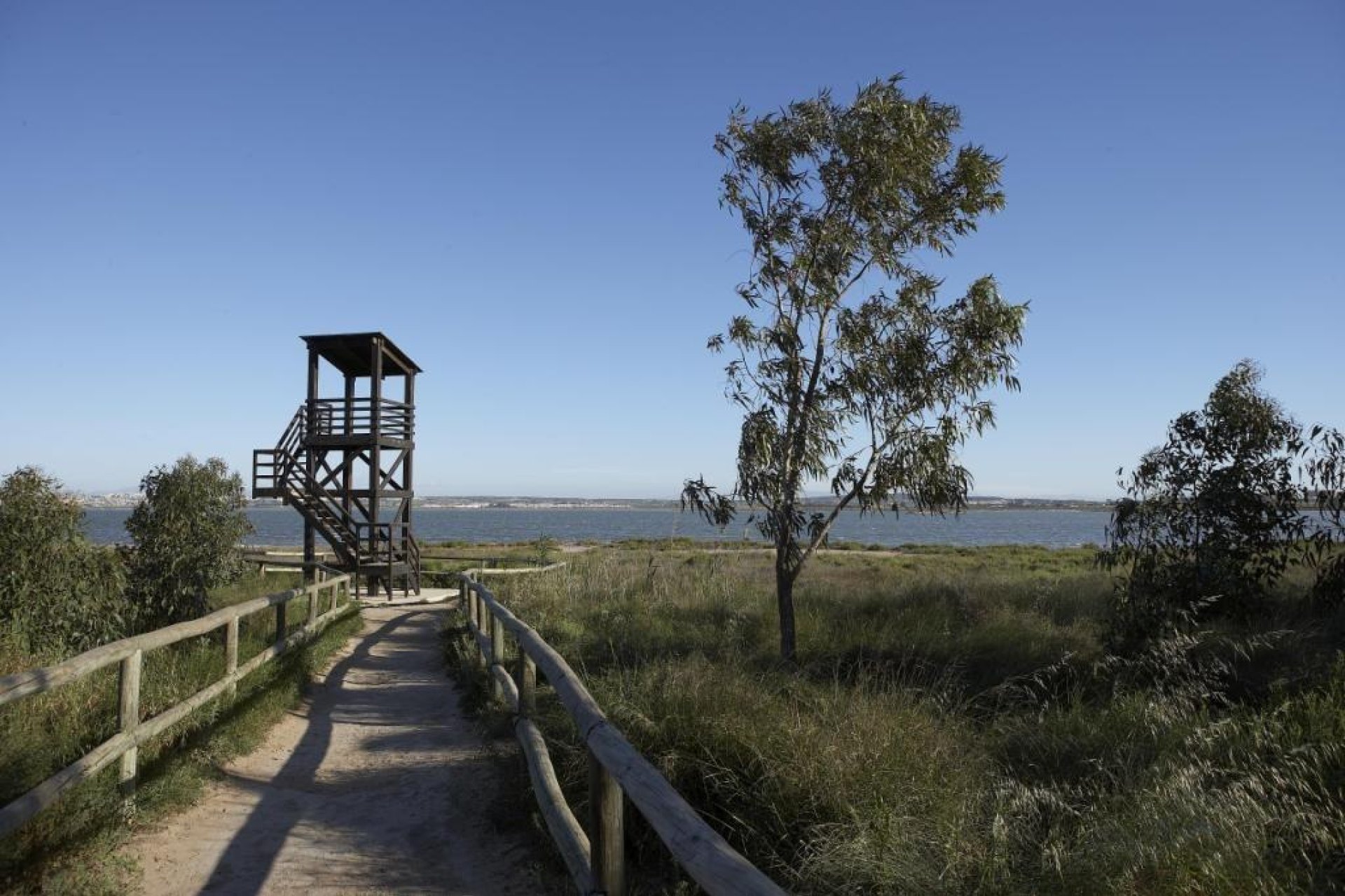 Obra nueva - Ático - San Miguel de Salinas - Pueblo