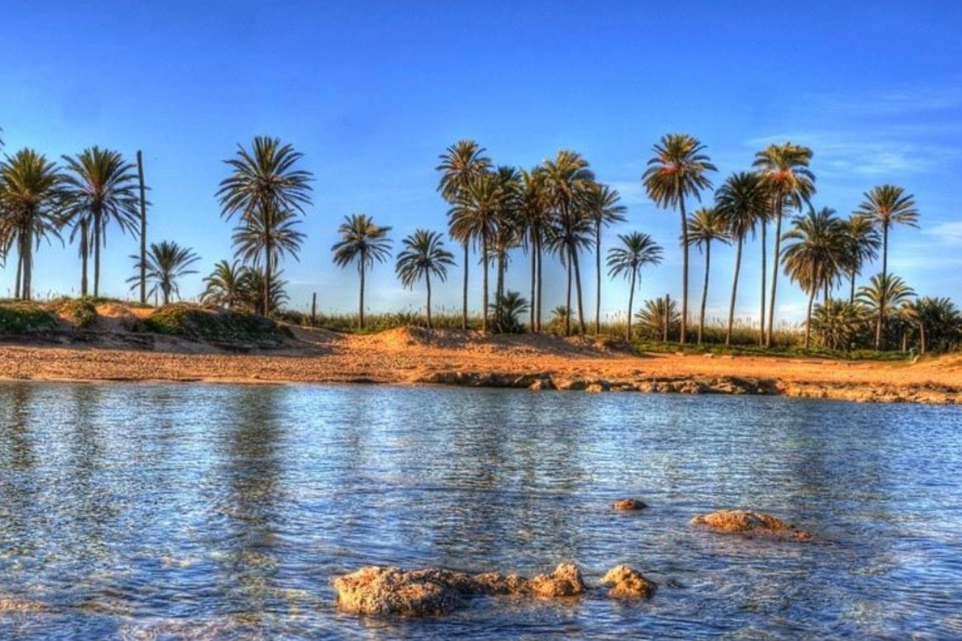 Obra nueva - Ático - Torrevieja - Playa de El Cura