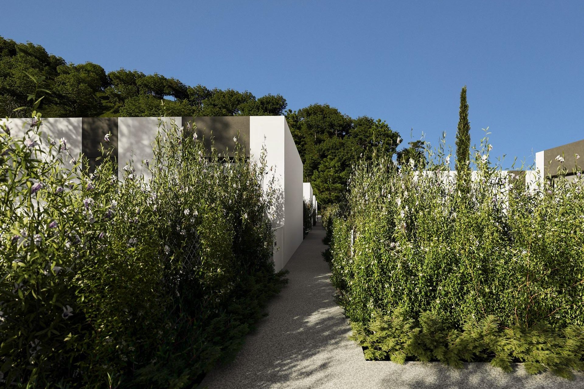 Obra nueva - Villa - Alfas del Pí - Barranc Fondo