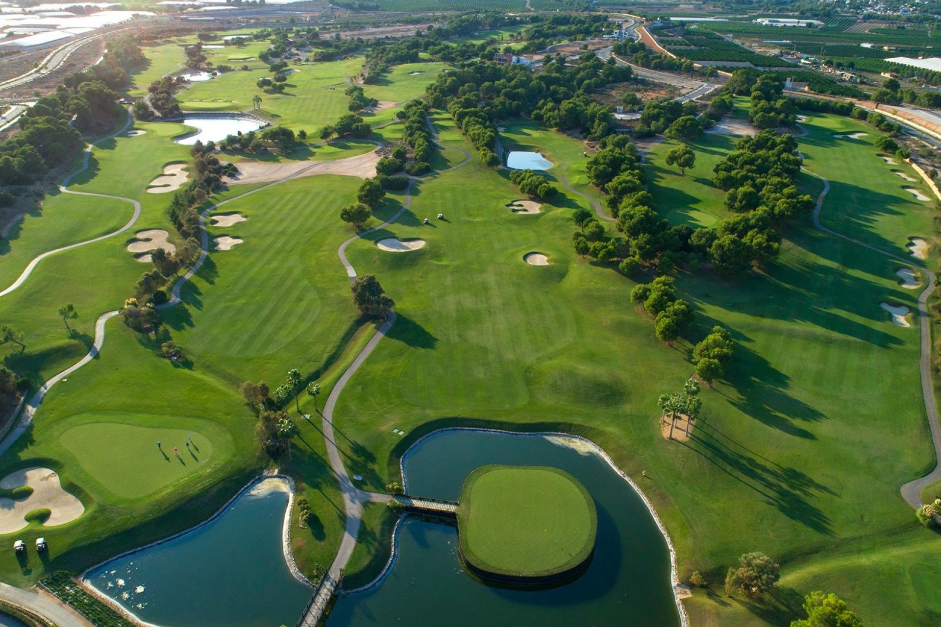 Obra nueva - Villa - Pilar de la Horadada - Lo Romero Golf