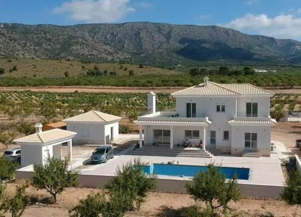 Obra nueva - Villa - Pinoso - Camino Del Prado