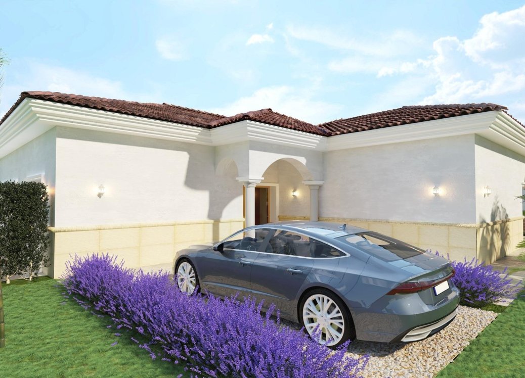 Obra nueva - Villa - Pinoso - Rodriguillo