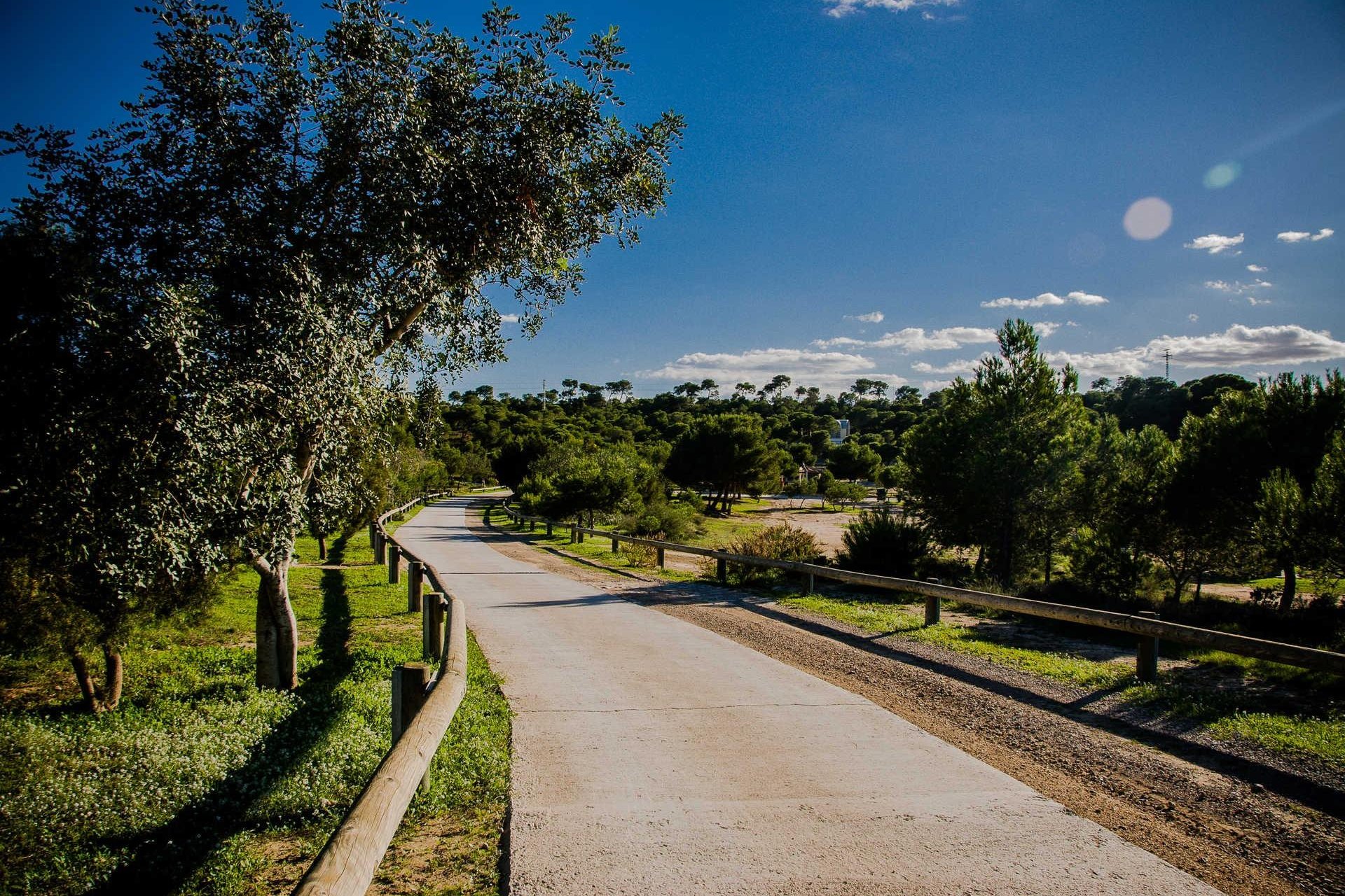 Obra nueva - Villa - Rojales - Ciudad Quesada