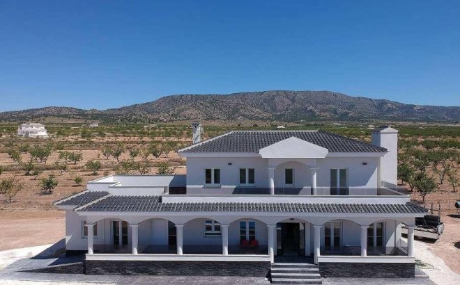 Villa - New Build - Pinoso - Camino Del Prado