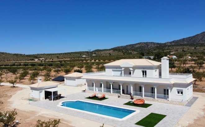 Villa - New Build - Pinoso - NB-28921