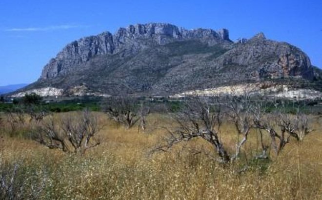 Nieuwbouw Woningen - Apartment - Denia - El Verger