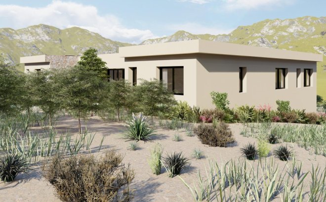 Nieuwbouw Woningen - Villa - Yecla