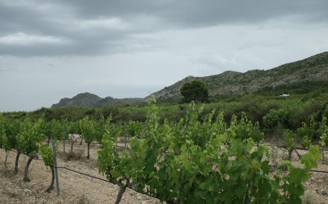 Nieuwbouw Woningen - Villa - Yecla