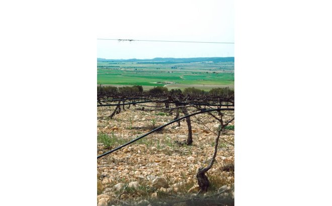 Nieuwbouw Woningen - Villa - Yecla