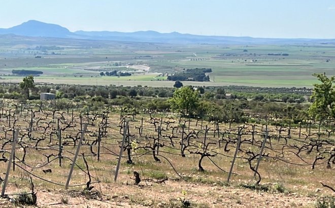 Nieuwbouw Woningen - Villa - Yecla
