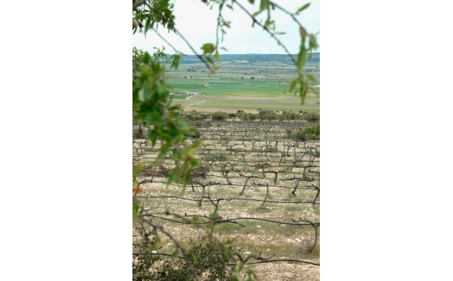 New Build - Villa - Yecla