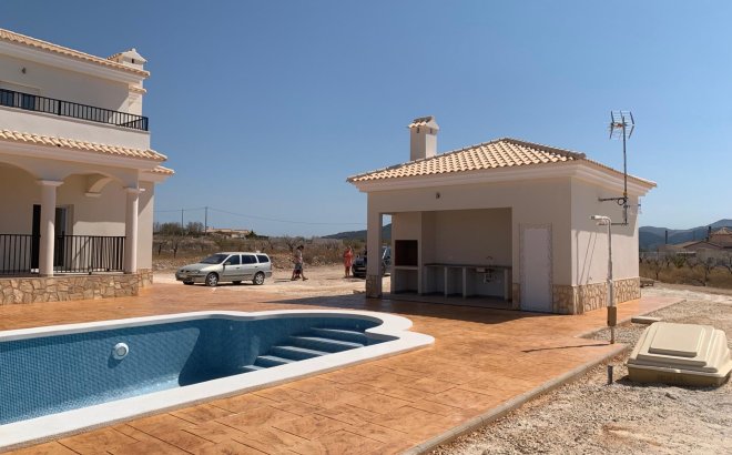 Nieuwbouw Woningen - Villa - Pinoso - Camino Del Prado