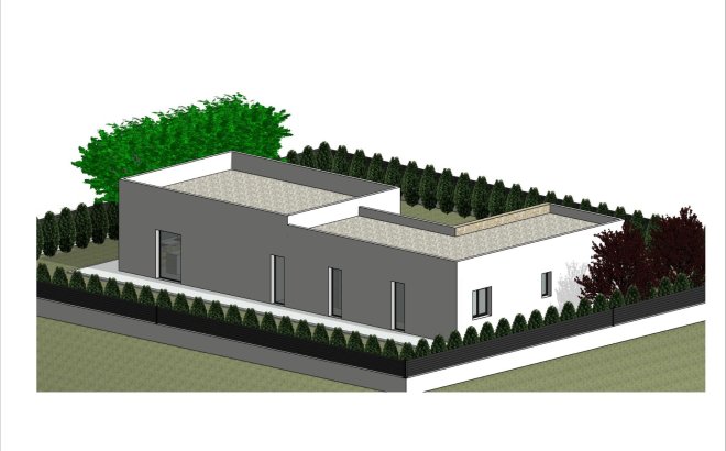 Nieuwbouw Woningen - Villa - Pinoso - Lel