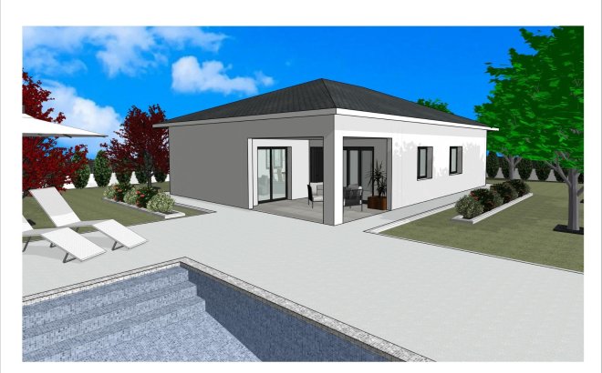 Nieuwbouw Woningen - Villa - Pinoso - Lel