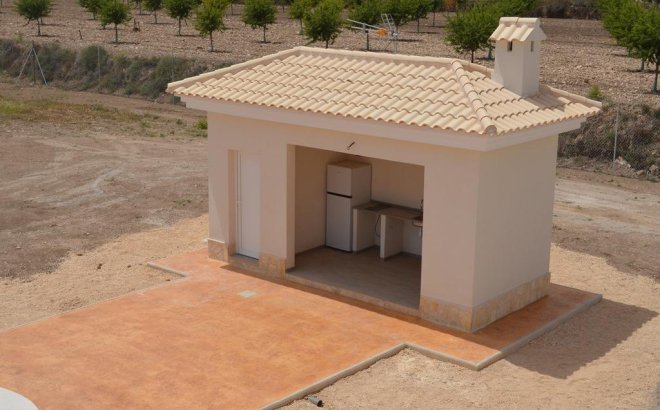 Nieuwbouw Woningen - Villa - Pinoso - Camino Del Prado