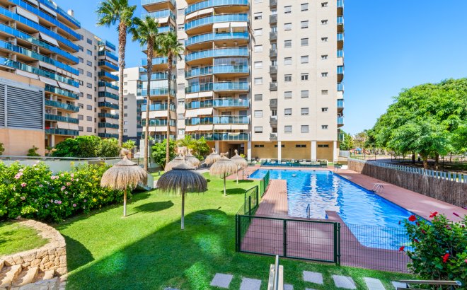 Reventa - Apartment - El Campello - El Amerador