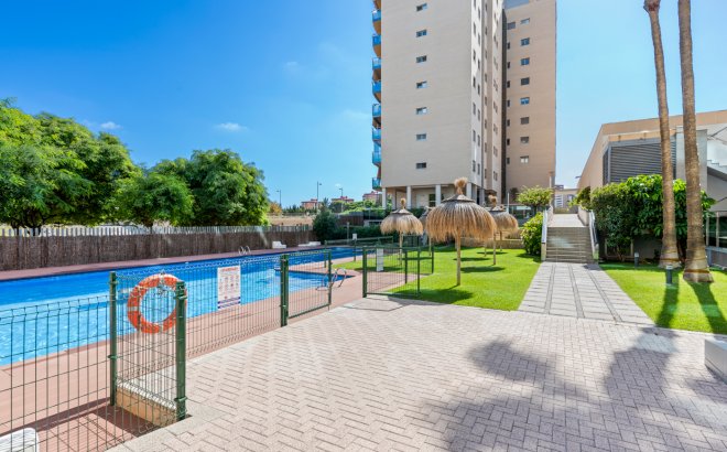 Reventa - Apartment - El Campello - El Amerador