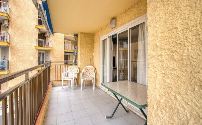 Bestaande bouw - Apartment - Torrevieja - Playa del Cura