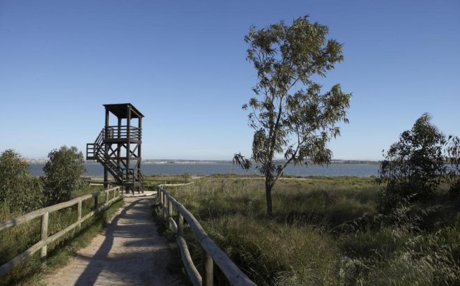 Obra nueva - Ático - San Miguel de Salinas - Pueblo