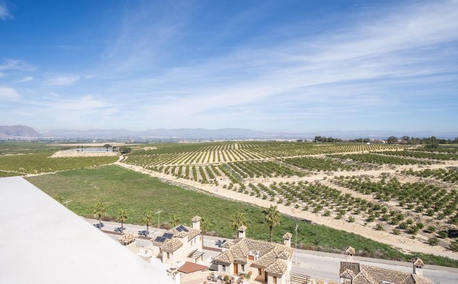 Obra nueva - Villa - Algorfa - La Finca Golf