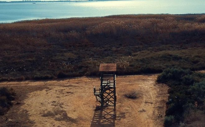 New Build - Villa - Los Montesinos - La Herrada