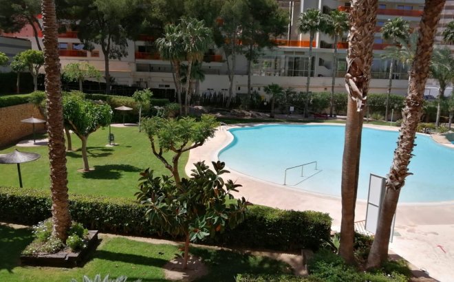 Bestaande bouw - Apartment - Benidorm - Rincón de Loix