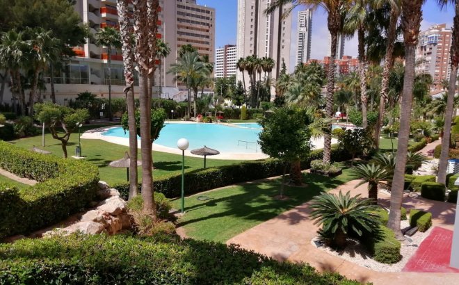 Bestaande bouw - Apartment - Benidorm - Rincón de Loix