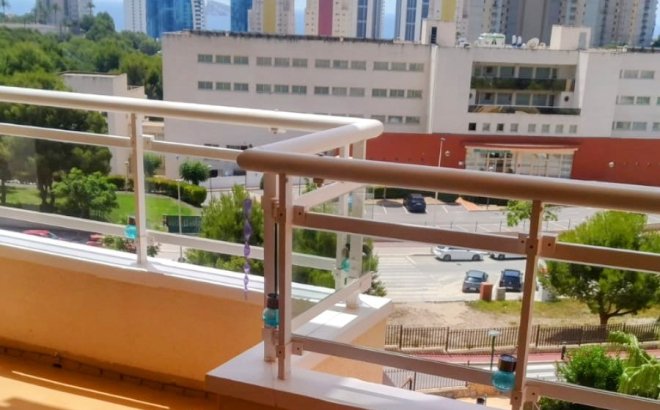 Bestaande bouw - Apartment - Benidorm - Via Parque