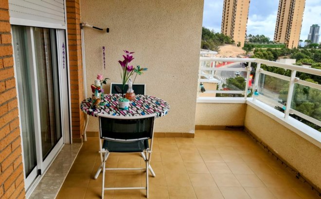 Bestaande bouw - Apartment - Benidorm - Via Parque