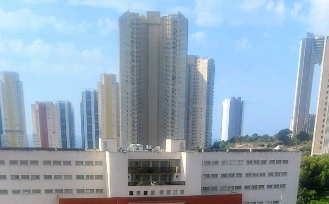 Bestaande bouw - Apartment - Benidorm - Via Parque