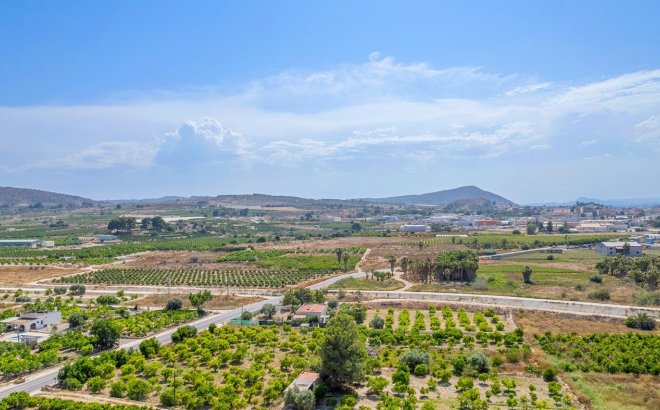 Nieuwbouw Woningen - Penthouse - Jacarilla - pueblo