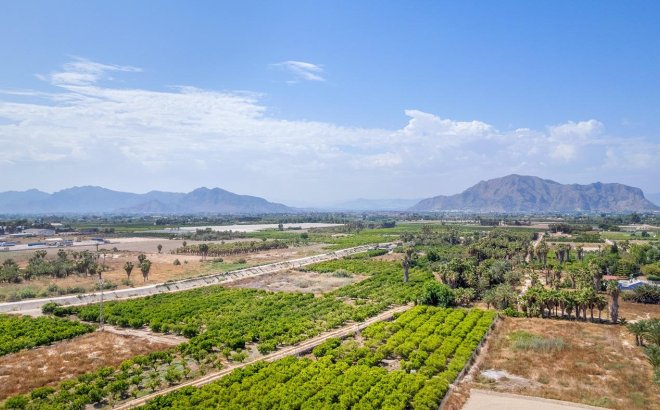 Nieuwbouw Woningen - Apartment - Jacarilla - pueblo