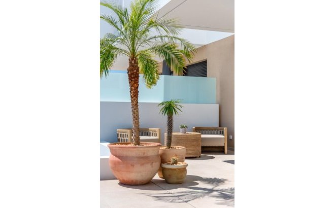 Nieuwbouw Woningen - Town House - Dolores - Sector 3