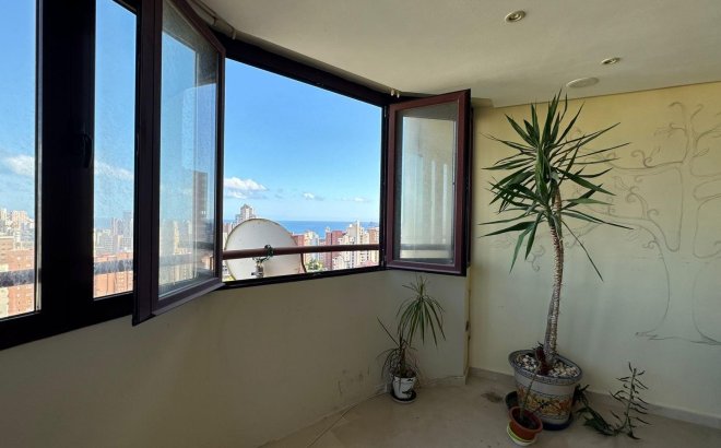 Bestaande bouw - Apartment - Benidorm - Juzgados