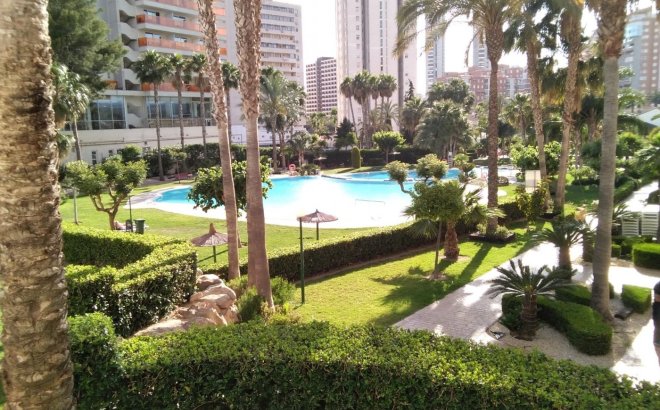 Bestaande bouw - Apartment - Benidorm - Rincón de Loix